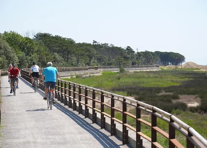 Отель Paron Бибионе